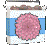 Carnation Seeds