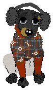 Bear's Winter Costume
